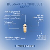Tribulus Terrestris MAXX 60 kapslí