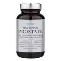 Male Support Prostate 120 kapslí 