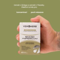 Ginkgo Hypericum 60 kapslí
