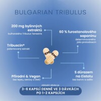 Tribulus Terrestris 90 kapslí
