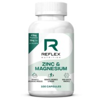 Zinc and Magnesium 100 kapslí 