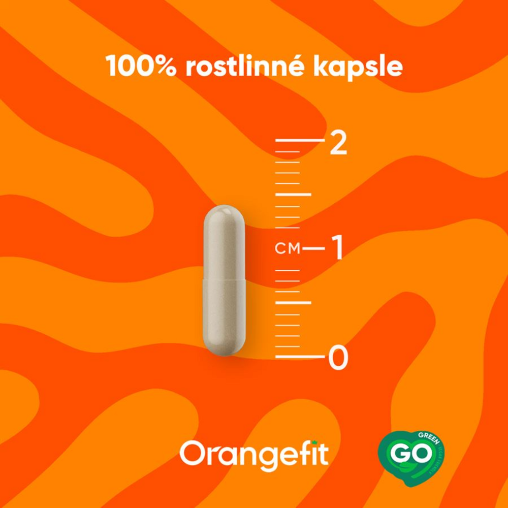 Vitamine D3 90 kapslí