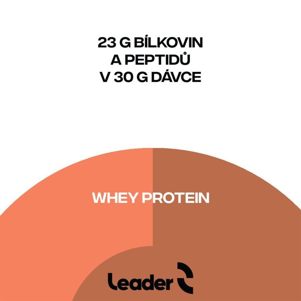 Whey Protein 500g