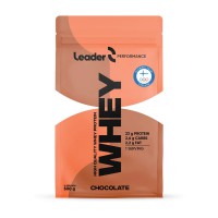 Whey Protein 500g 