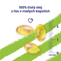 Vegan Omega 3 Algae 90 kapslí (420mg DHA and 140mg EPA)