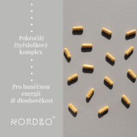 NAD+ Synergy 40 kapslí