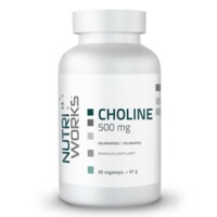 Choline 500 mg 90 kapslí 
