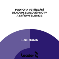 Glutamine + Vitamin C + Biotin 300 g