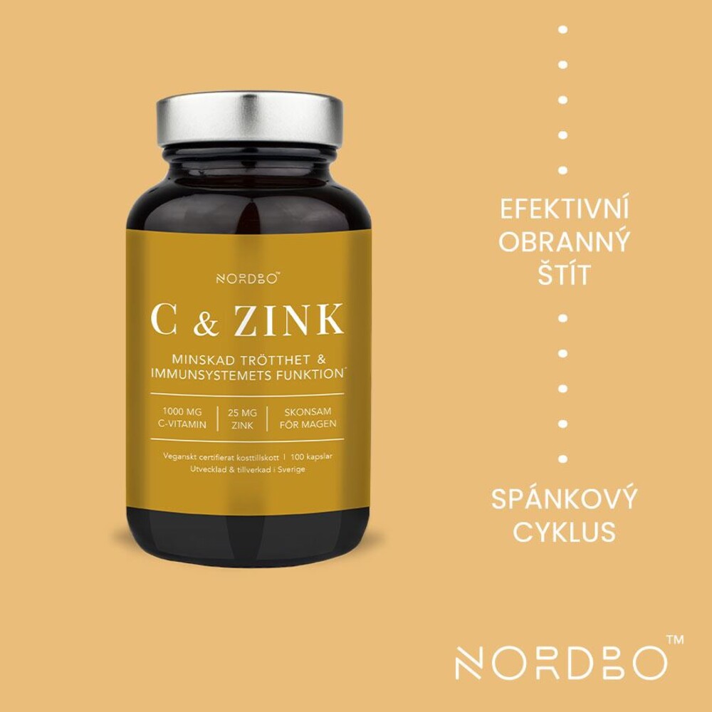 Vitamin C and Zinek 100 kapslí