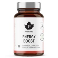Energy Boost 60 kapslí 