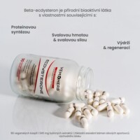 Beta Ecdysterone 95% 90 kapslí