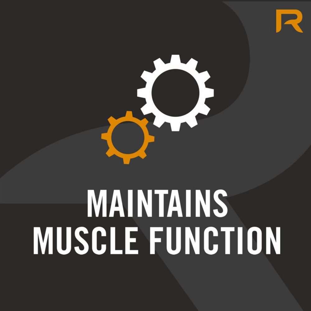 Nexgen® PRO + Digestive Enzymes 30 kapslí SK