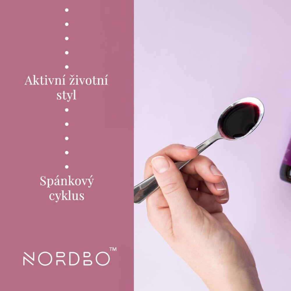 Elderberry Kids 120ml (Extrakt z černého bezu pro děti)