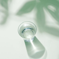 OptiMSM + C 200 g lime SK