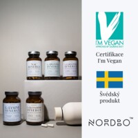 L-Lysine Synergy 90 kapslí