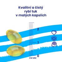 Omega 3 60 kapslí (280mg DHA and 120mg EPA)