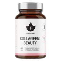 Collagen Beauty 120 kapslí (Kolagenové peptidy Verisol®) 