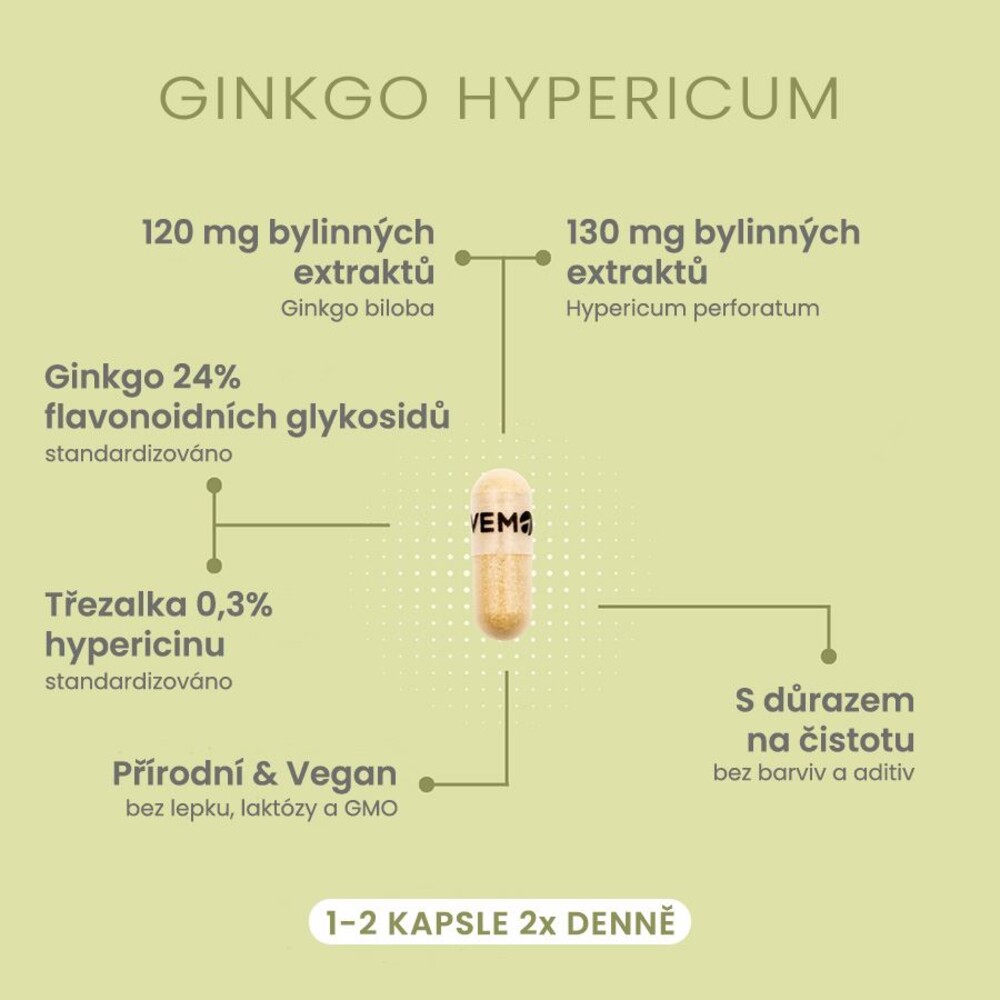 Ginkgo Hypericum 60 kapslí