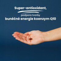 Ubiquinol CoQ10 30 kapslí (100mg)