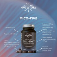 Mico-Five Immune System 70 kapslí Bio (Reishi, Maitake, Shiitake, Žampion, Chaga)