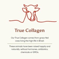 Cacao + Grass Fed Collagen 250 g