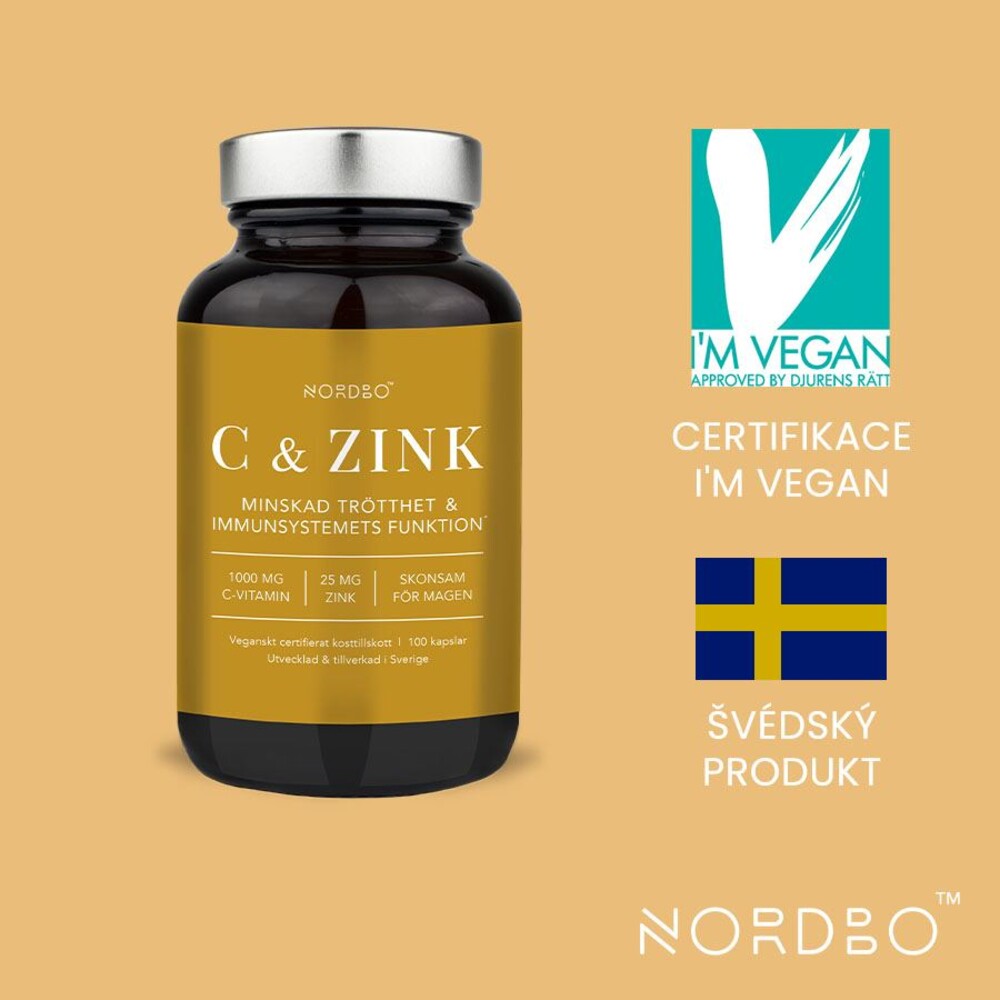 Vitamin C and Zinek 100 kapslí