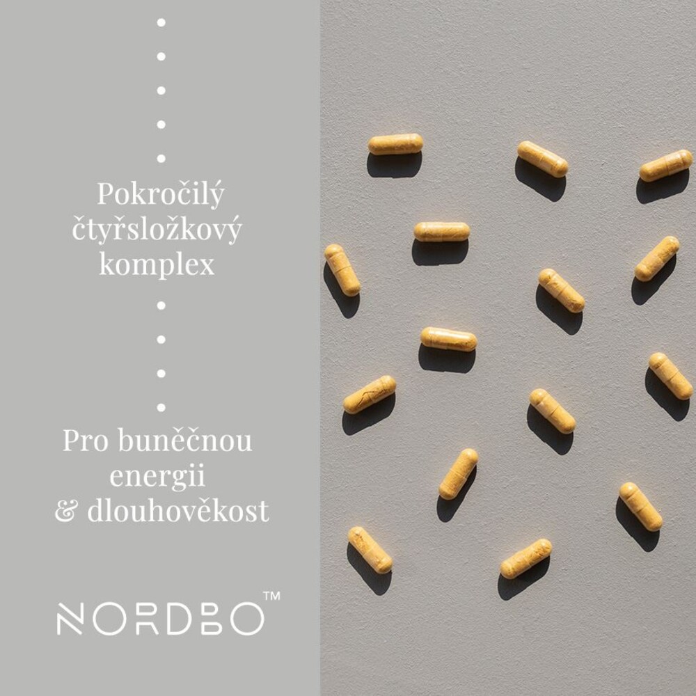 NAD+ Synergy 40 kapslí