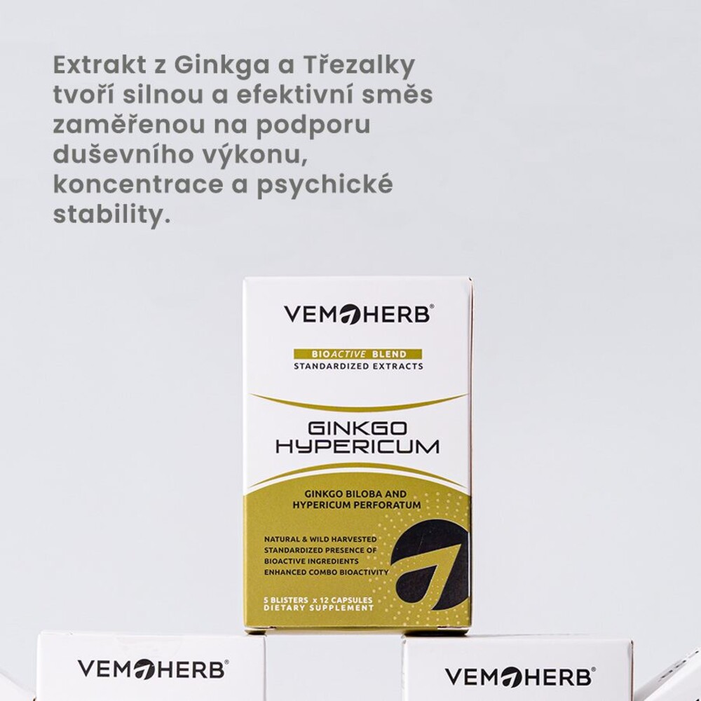 Ginkgo Hypericum 60 kapslí