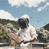 RAW Manuka Honey UMF13+ (400+ MGO) 500g