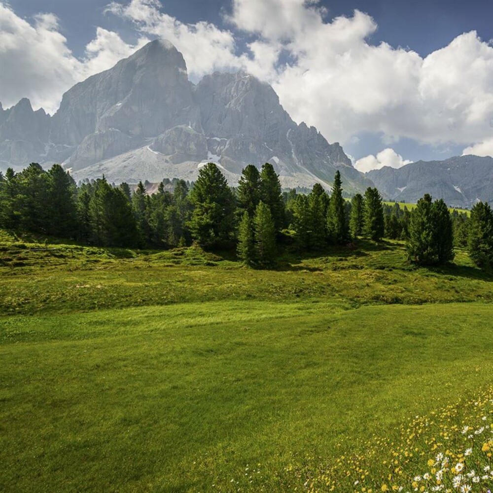 I Love BIO Protein 1,4 kg natural