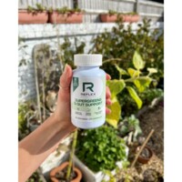 Supergreens and Gut Support 90 kapslí 